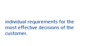  individual requirements for the most effective decisions of the customer.